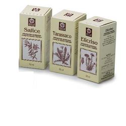 TE VERDE 50 ML GOCCE - Angeli Pharm