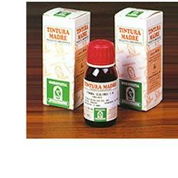 PUNGITOPO 24 50ML TM - Angeli Pharm