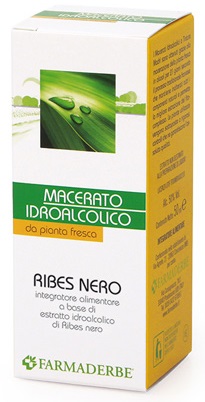 RIBES NERO MACERATO IDROALCOLICO 50 ML - Angeli Pharm