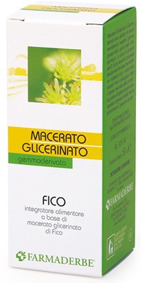 FICO GEMME MACERATO GLICERINATO 50 ML - Angeli Pharm
