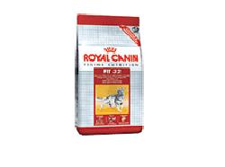 FELINE HEALTH NUTRITION REGULAR FIT 400 G - Angeli Pharm