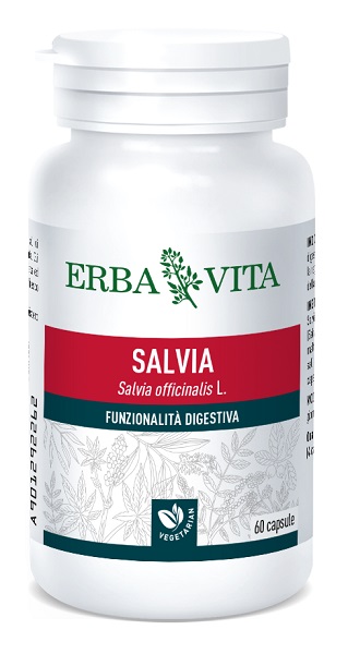 SALVIA 60 CAPSULE - Angeli Pharm