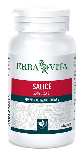 SALICE 60 CAPSULE - Angeli Pharm