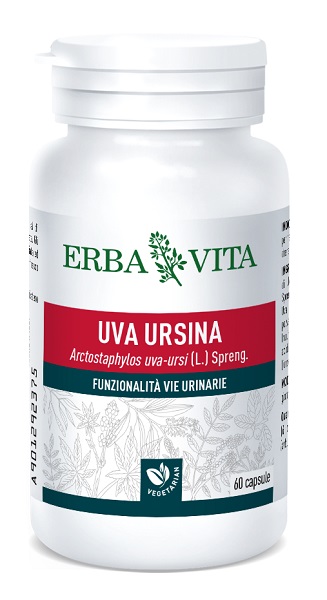 UVA URSINA 60 CAPSULE - Angeli Pharm