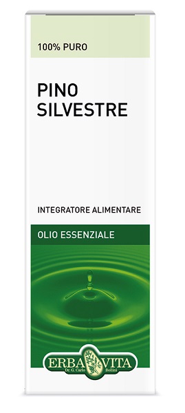 PINO SILVESTRE OLIO ESSENZIALE 10 ML - Angeli Pharm