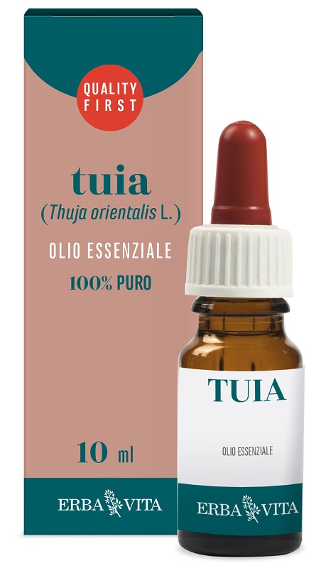 TUIA OLIO ESSENZIALE 10 ML - Angeli Pharm