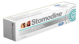 STOMODINE GEL GENGIVALE CANI 30 ML - Angeli Pharm