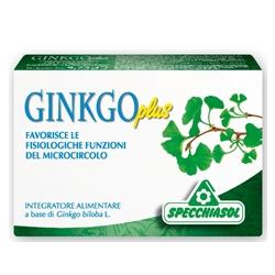 GINKGO PLUS 30 CAPSULE - Angeli Pharm