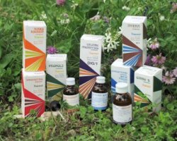 RAEMIL IPRIVAL GINESTR COMPOSTO 25 - Angeli Pharm