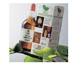 ROSMARINO MACERATO GLICERICO 100 ML - Angeli Pharm