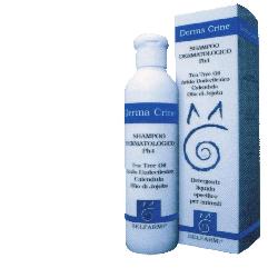 DERMA CRINE SHAMPOO 250 ML - Angeli Pharm