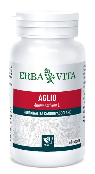 AGLIO 60 CAPSULE 500 MG - Angeli Pharm