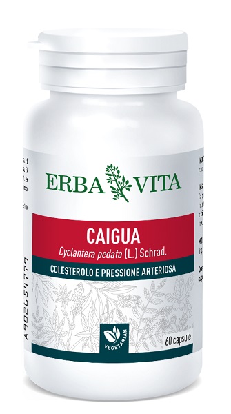 CAIGUA 60 CAPSULE 400 MG - Angeli Pharm