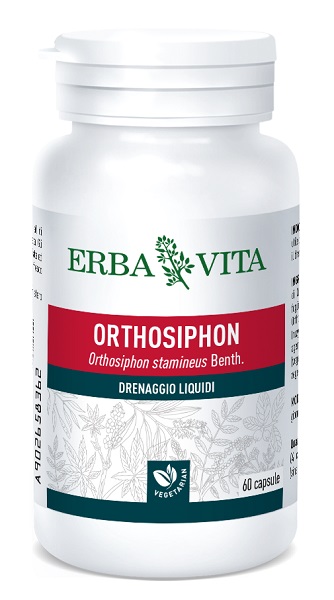 ORTOSIPHON 60 CAPSULE 400 MG - Angeli Pharm