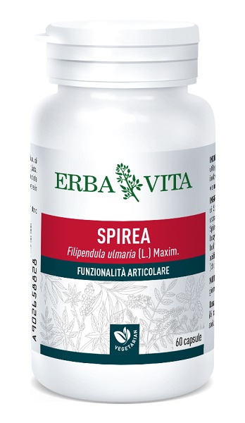 SPIREA ULMARIA 60 CAPSULE 400 MG - Angeli Pharm