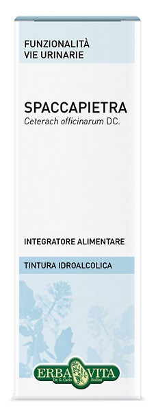 SPACCAPIETRA TINTURA IDROALCOLICA 50 ML EBV - Angeli Pharm