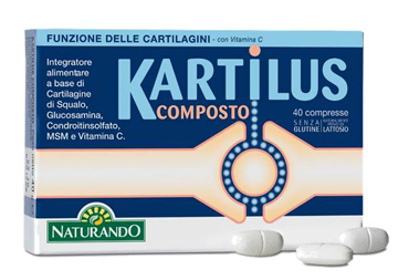KARTILUS COMPOSTO 40 COMPRESSE - Angeli Pharm