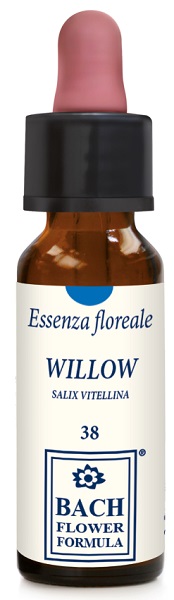 WILLOW ORIGINAL GOCCE 10 ML - Angeli Pharm