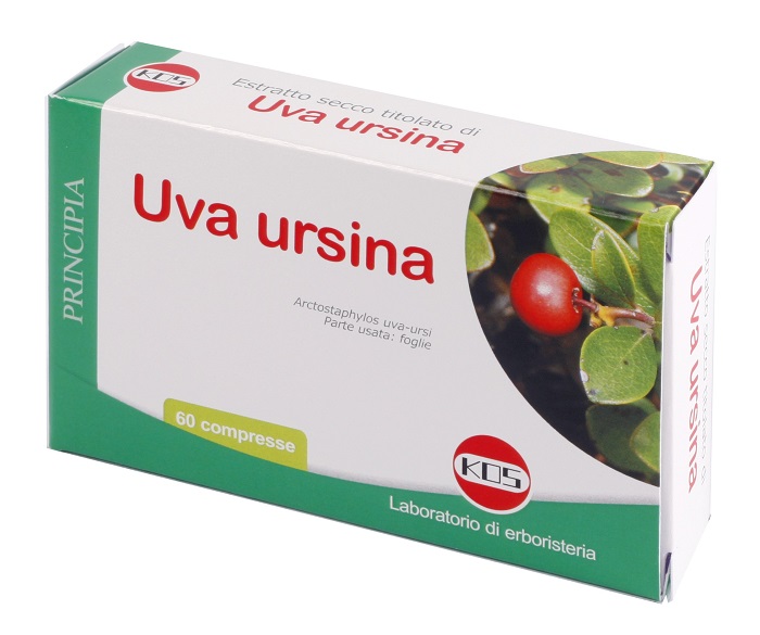 UVA URSINA ESTRATTO SECCO 60 COMPRESSE - Angeli Pharm