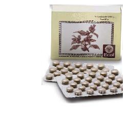 CIMICIFUGA 50 TAVOLETTE 500 MG - Angeli Pharm