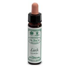 AINSWORTHS LARCH 10ML - Angeli Pharm