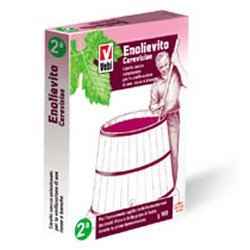 ENOLIEVITO CERVISIAE 100 G - Angeli Pharm