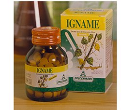 IGNAME ERBE 60TAV - Angeli Pharm