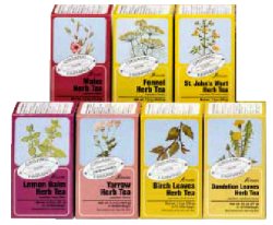 ROSA CANINA TISANA 15 FILTRI BIO - Angeli Pharm