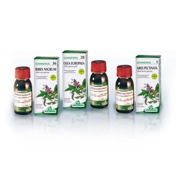 GEMMOSOL 24 FICO 50ML - Angeli Pharm