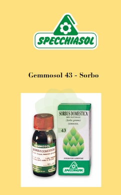 GEMMOSOL 43 SORBO 50ML - Angeli Pharm