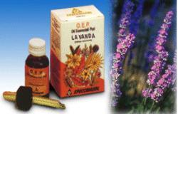 LAVANDA OLIO ESSENZIALE PURO 10 ML - Angeli Pharm