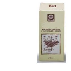 EQUISETO ESTRATTO ANALCOLICO 50 ML ARTICOLO 794 - Angeli Pharm