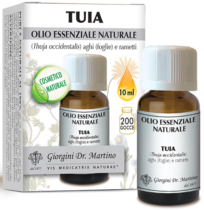 TUIA OLIO ESSENZIALE NATURALE 10 ML - Angeli Pharm
