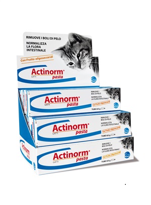ACTINORM PASTA GATTI 65 G - Angeli Pharm