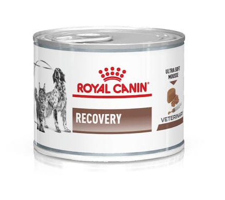 VETERINARY DIET WET DOG & CAT RECOVERY 195 G - Angeli Pharm