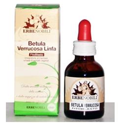 FITOBLASTO BETULLA VERRUCOSA LINFA 50 ML - Angeli Pharm
