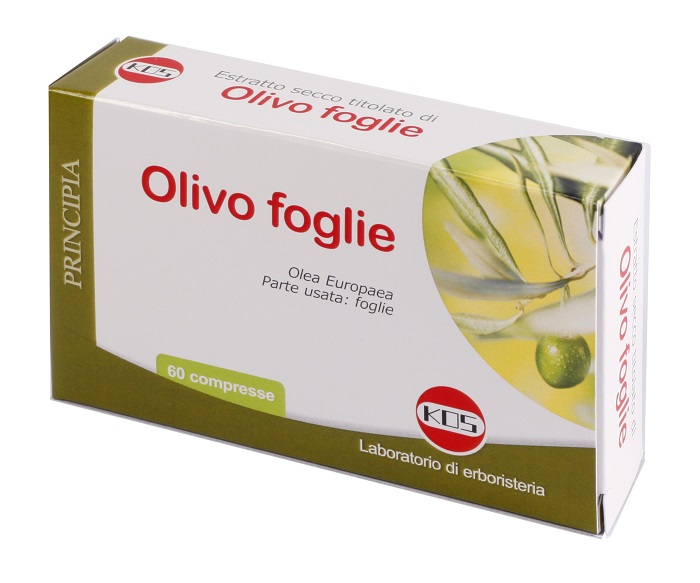 OLIVO FOGLIE ESTRATTO SECCO 60 COMPRESSE - Angeli Pharm