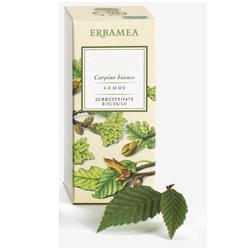 FICUS CARICA GEMME GEMMODERIVATO BIO 50 ML - Angeli Pharm