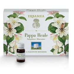 PAPPA REALE 14 FLACONCINI MONODOSE 10 ML - Angeli Pharm