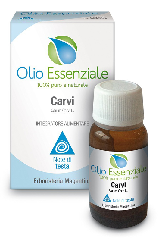 CARVI OLIO ESSENZIALE 10 ML - Angeli Pharm