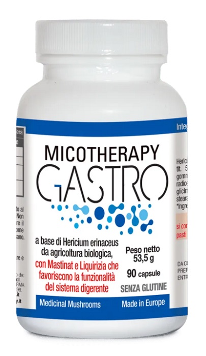 MICOTHERAPY GASTRO 90 CAPSULE - Angeli Pharm