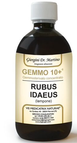 GEMMO 10+ GEMMODERIVATO CONCENTRATO LIQUIDO ANALCOLICO RUBUS IDEAUS LAMPONE 500 ML - Angeli Pharm