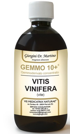 GEMMO 10+ VITE LIQUIDO ANALCOLICO 100 ML - Angeli Pharm