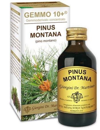 GEMMO 10+ PINO MONTANO 100 ML LIQUIDO ANALCOLICO - Angeli Pharm