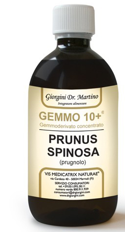GEMMO 10+ PRUGNOLO 500 ML LIQUIDO ANALCOLICO - Angeli Pharm