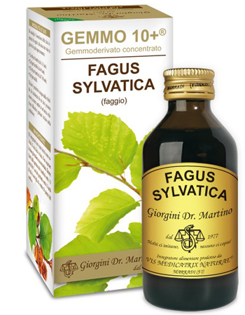 GEMMO 10+ FAGGIO 100 ML LIQUIDO ANALCOLICO - Angeli Pharm