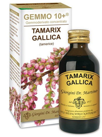 GEMMO 10+ TAMERICE 100 ML LIQUIDO ANALCOLICO - Angeli Pharm