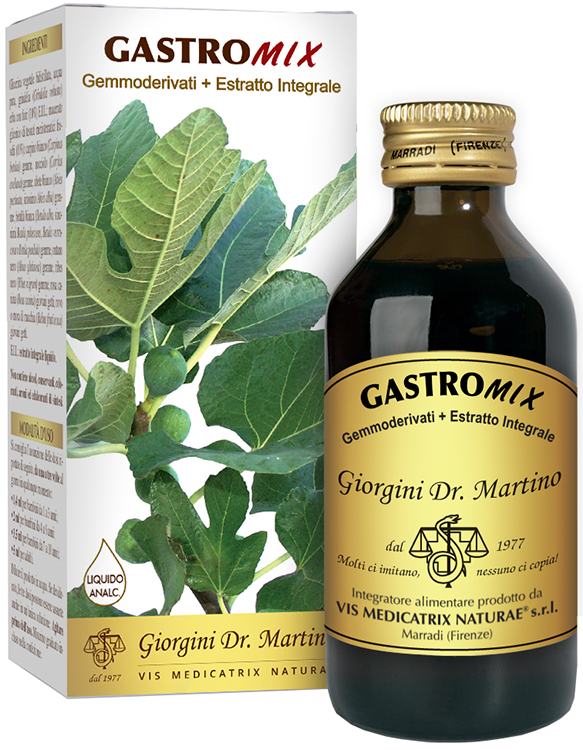 GASTROMIX LIQUIDO ANALCOLICO 100 ML - Angeli Pharm