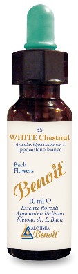 FIORI DI BACH BENOIT WHITE CHESTNUT 10 ML - Angeli Pharm
