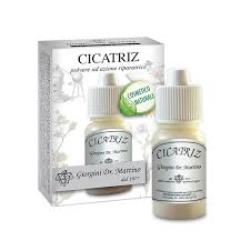 CICATRIZ POLVERE 10 G - Angeli Pharm